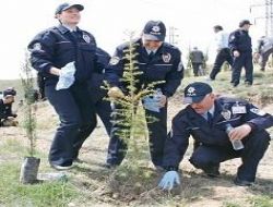 Eryaman'a polis fidanı