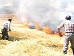 Aman anız yakmayın!