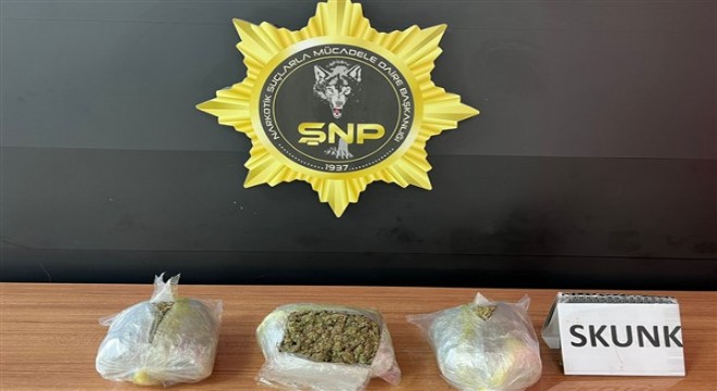 Şanlıurfa'da 1 kilo 600 gram skunk ele geçirildi